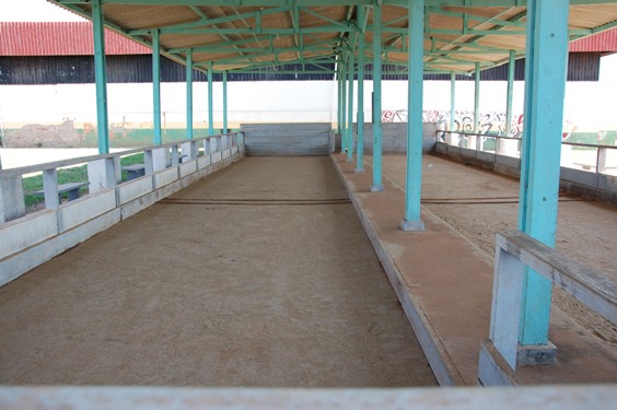 REFORMA DO CAMPO DE BOCHA DE PAULICÉIA